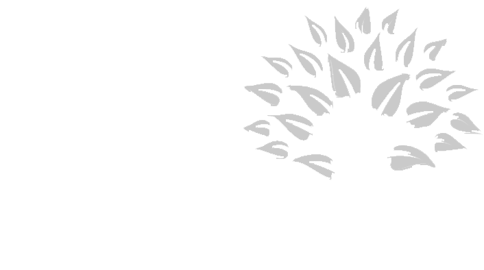 Heritage Property Preservation